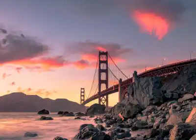 California Dreamin'